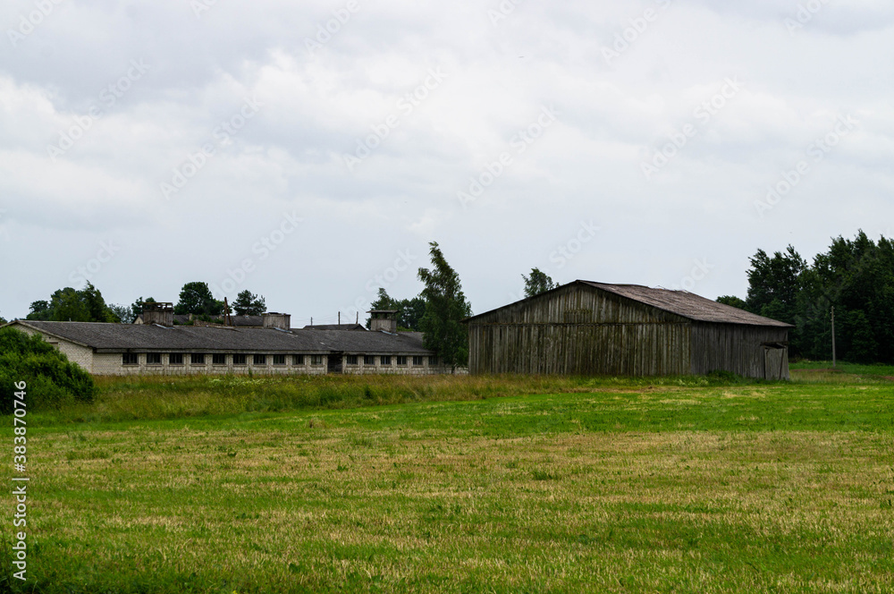 Abandoned remains of a broken barn in a field in Latvia in summer.