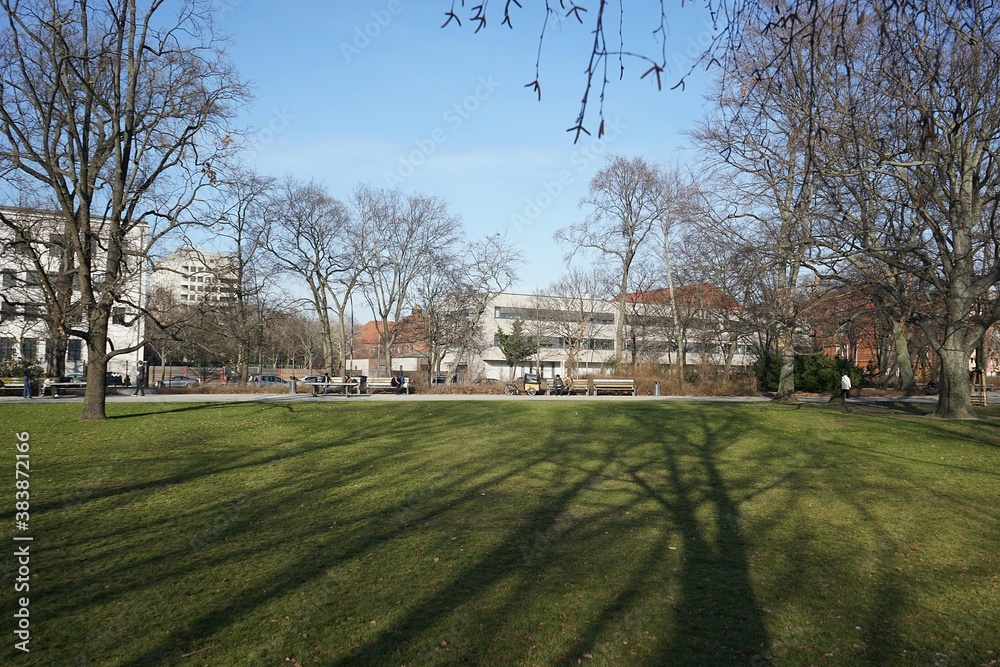 Berlin, Germany_25, February 2019_Winter View of Kleiner Tiergarten Park. Berlin, Germany_25, February 2019_Winter View of Kleiner Tiergarten Park.