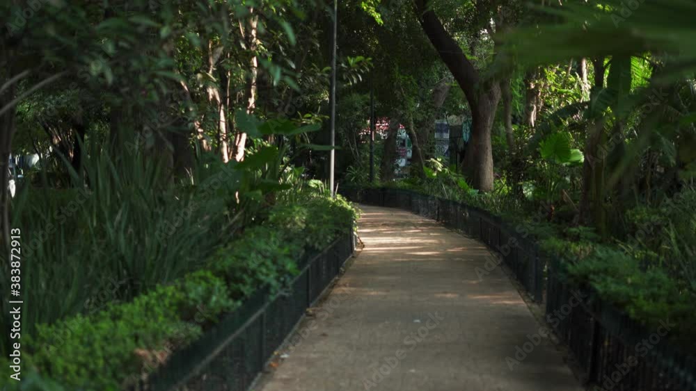 Concrete Path Surrounded by Trees and Plants in the Middle of a Park Concrete Path Surrounded by Trees and Plants in the Middle of a Park