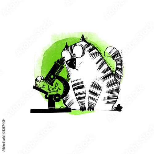 hand drawn vector illustration of funny cats