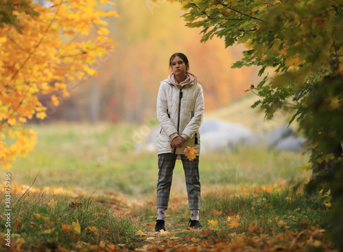 a young girl walks in the autumn maple alley