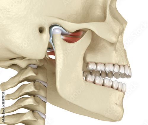 Fotografija TMJ: The temporomandibular joints