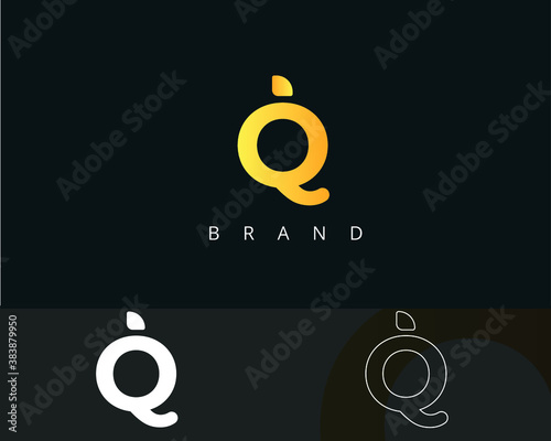 Initial letter q, q letter, q logo, q luxury professional fashion and beauty typeface symbol letter modern identity business photo