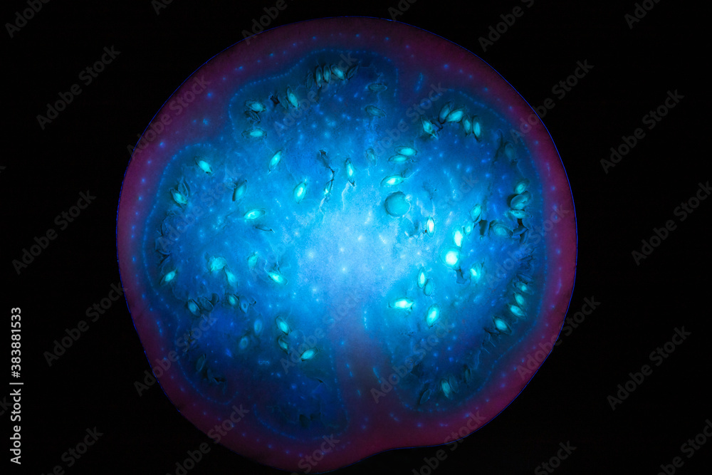 unreal world of vegetables, ultraviolet light, background, eggplant in section unreal world of vegetables, ultraviolet light, background, eggplant in section