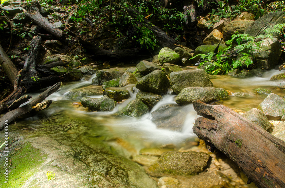 Small waterfall and stone with water motion.