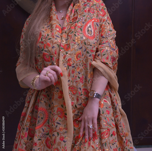 Arabian sarees. Arab girl wearing a traditional saree