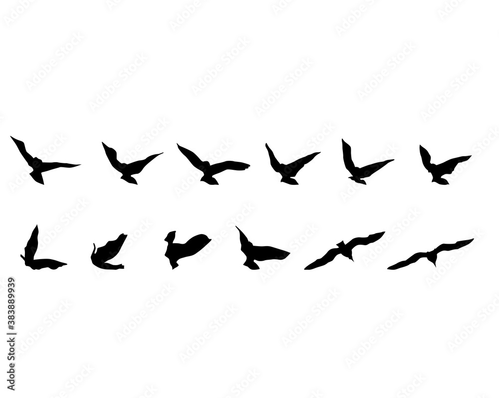 Flock of birds in flight. Isolated silhouette on white background