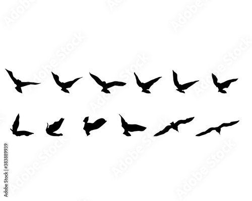 Flock of birds in flight. Isolated silhouette on white background © Николай Григорьев