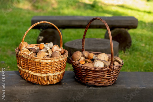 Two wicker baskets full of fresh autumn mushrooms.