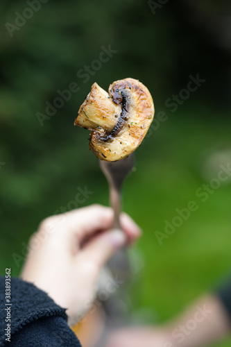 Outdoor grilled vegetables, a female hand holding a fork with freshly grilled mushroom, champignon with herbs. Vegan snack.