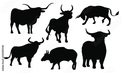 Big set of vector bulls in different poses. Large horned livestock. Silhouettes of wild bulls. The bull is the symbol of 2021.