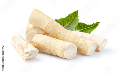 Horseradish root with leaves in closeup photo