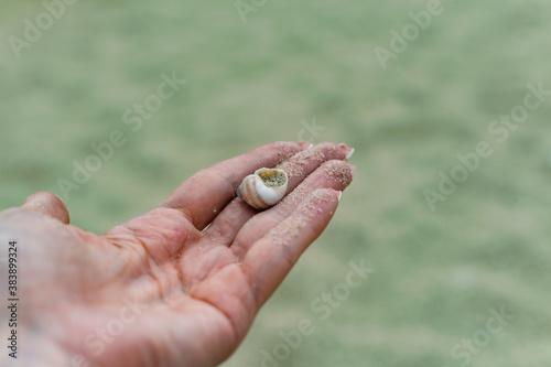 River shells and fine white river sand fall from a woman's hand in nature