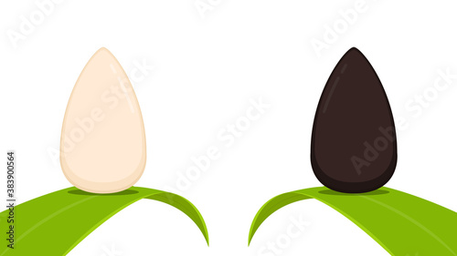Black and white sesame design. Sesame seed on white background.