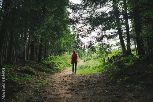 Minimalistic photo, back view of a tall female traveler with backpack in a red waterproof jacket going up the mountain hill in the woods.