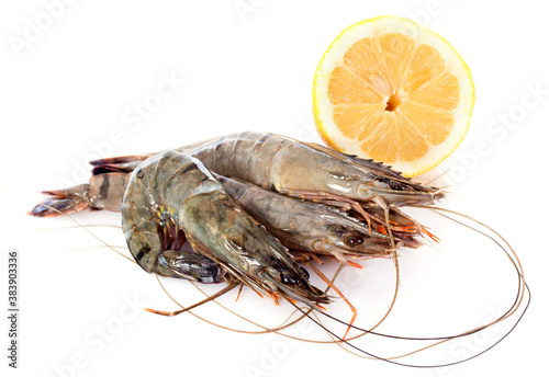 Fotografie raw gambas