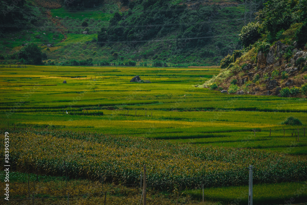 Green rice fields and hills, view from Ban Ang lake, Moc Chau, Vietnam.