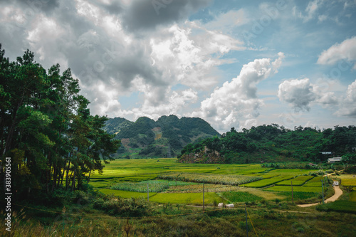 Green rice fields and hills, view from Ban Ang lake, Moc Chau, Vietnam.