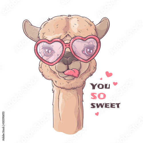 Hand drawn portrait of cute alpaca Vector.