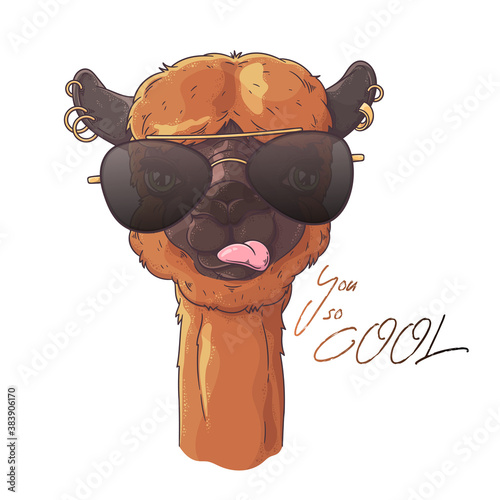 Hand drawn portrait of cute alpaca Vector.