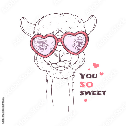 Hand drawn portrait of cute alpaca Vector.