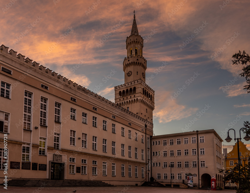 Fototapeta premium budynek ratusza w Opolu