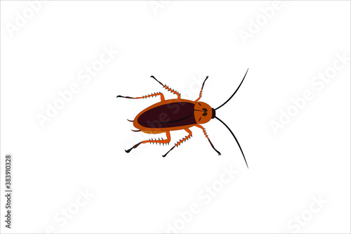 Brown cockroach, illustration, vector on white background.