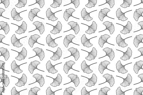 Ginkgo leaf vector pattern - black and white   Ginkgo biloba  