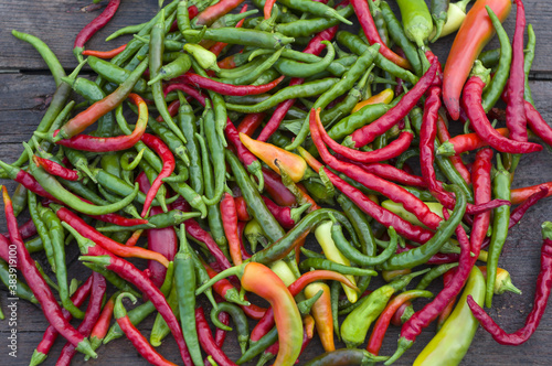 red, green, orange hot chili peppers on a wooden background