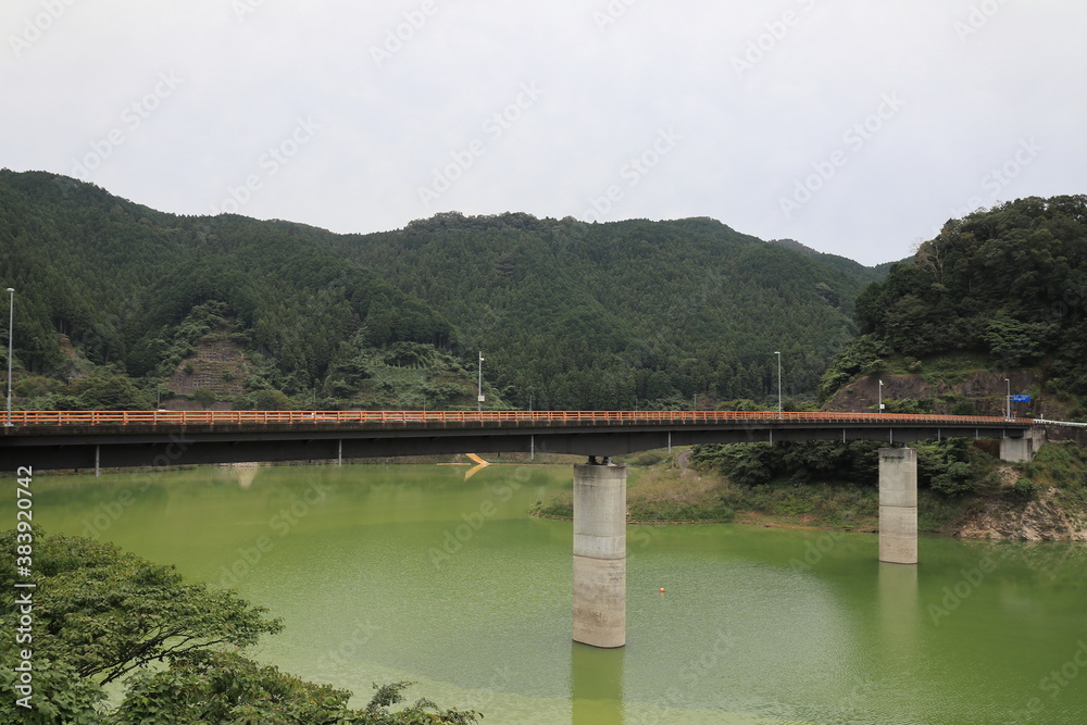 緑色の水と橋