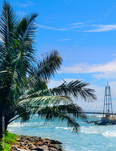 Coconut tree  sea  bridge and beautiful cloudy sky.