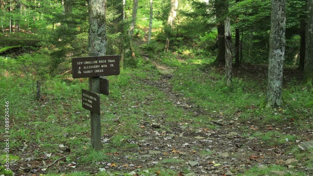 A signpost for the intersection of the Seneca Creek Trail and the Swallow Rock Trail, within the Spruce Knob-Seneca Rocks National Recreation Area in West Virginia. Summer. A signpost for the intersection of the Seneca Creek Trail and the Swallow Rock Trail, within the Spruce Knob-Seneca Rocks National Recreation Area in West Virginia. Summer.