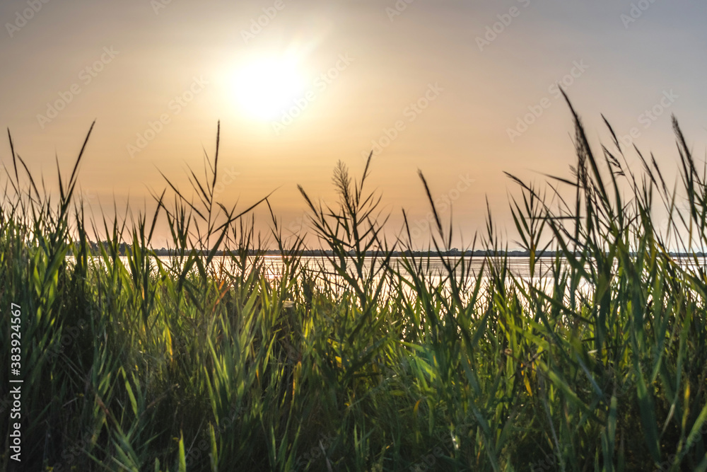 Fototapeta premium Coucher de soleil en Camargue