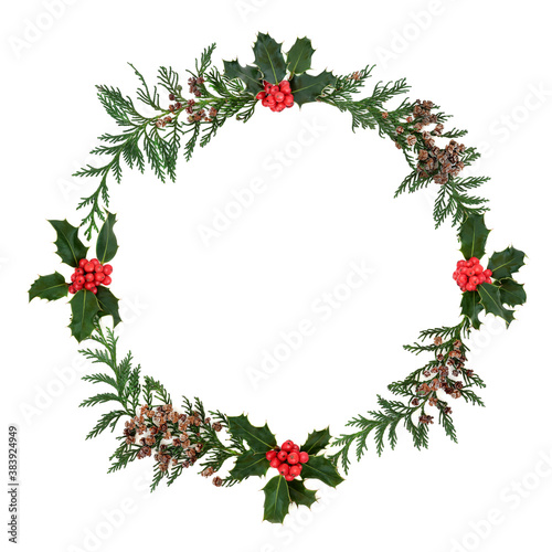 Winter cedar cypress   holly berry wreath on white background. Minimal composition for the Christmas holiday season   New Year themes. Flat lay  top view  copy space.