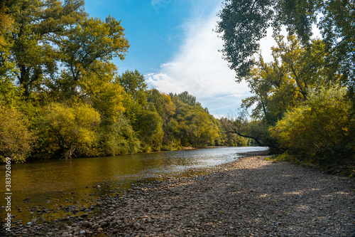The Nišava river and forest in early autumn