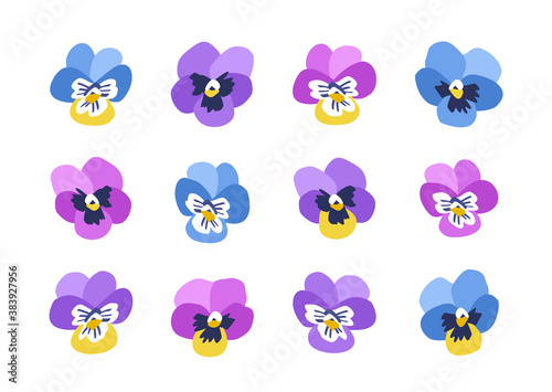 Beautiful Pansy Flower Set for your Modern Decoration