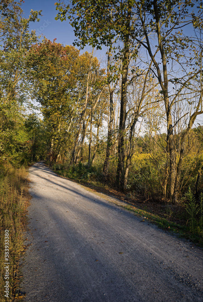 Fototapeta premium Rails to trails corridor on a sunny late afternoon autumn day. Rails to trails are used to preserve unused rail corridors by transforming them into rail trails within the United States of America.