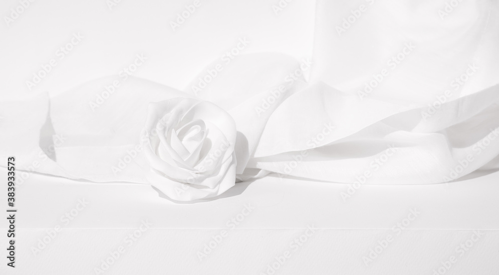 Still life minimal scene white roses flowers and textile decor.  Winter season concept  Trendy white colours aesthetic