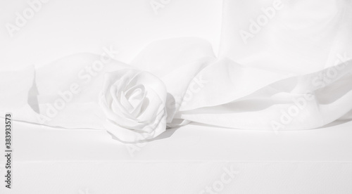 Still life minimal scene white roses flowers and textile decor.  Winter season concept  Trendy white colours aesthetic