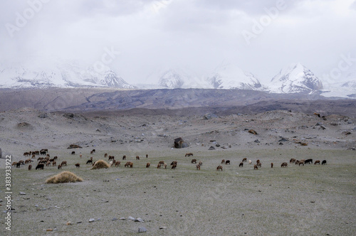 View of the karakoram mountain range from the Karakul lake  Xinjiang Province  China