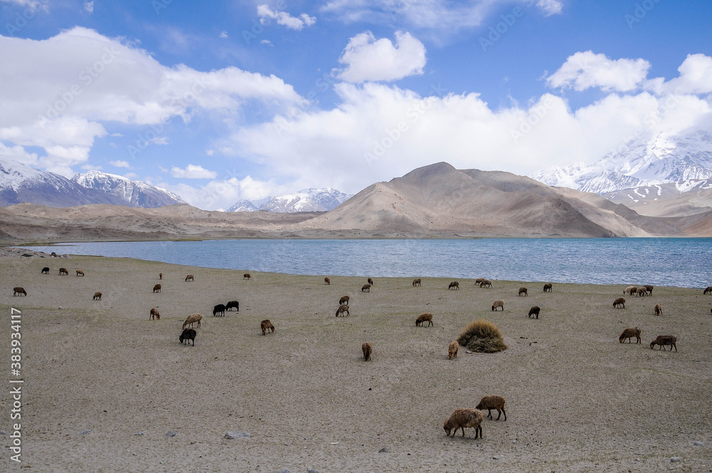 View of the karakoram mountain range from the Karakul lake, Xinjiang Province, China View of the karakoram mountain range from the Karakul lake, Xinjiang Province, China