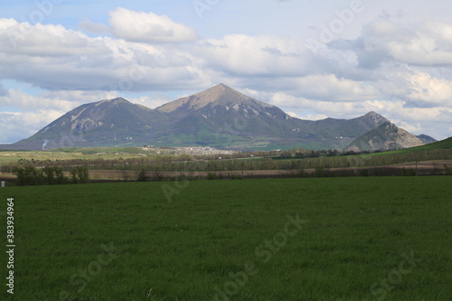 Beautiful natural landscape with green vegetation and mountains in the