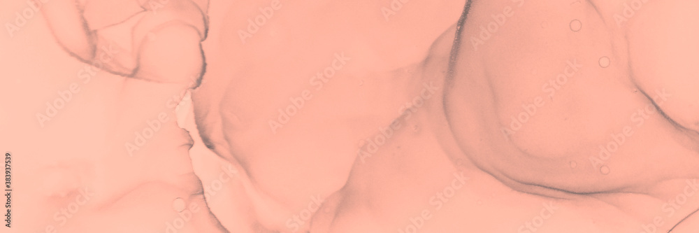 Fototapeta premium Acrylic Backdrop. Vibrant Rose Wallpaper.