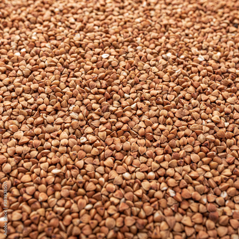 Buckwheat as a background. Buckwheat close up. Buckwheat as a background. Buckwheat close up.