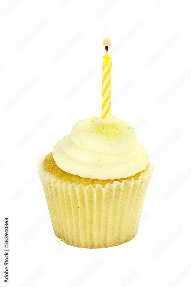 Obraz na plátně Isolated Birthday Cupcake