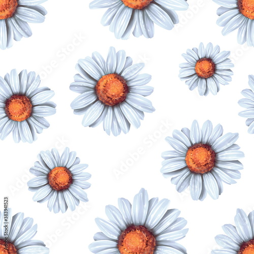 Floral pattern. Seamless background with daisy flowers on white