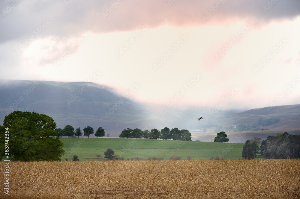 Fototapeta premium SHAFTS OF SUNLIGHT break through thick morning cloud to illuminate farmlands in the Drakensberg foothills, Himeville, Kwazulu Natal, South Africa