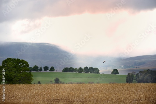 SHAFTS OF SUNLIGHT  break through thick morning cloud to illuminate farmlands in the Drakensberg foothills, Himeville, Kwazulu Natal, South Africa photo