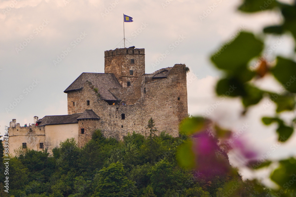 Czorsztyn Castle on the bank of Dunajec river. fortified architectural complex of Niedzica Castle in poland
