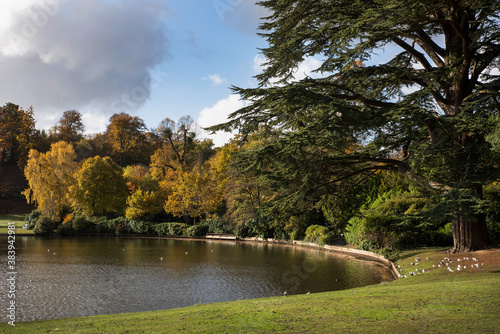 Autumn at Claremont Gardens Surrey